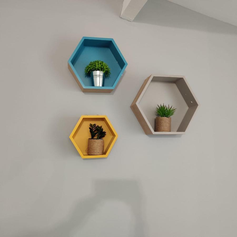 Appartamento Nouvel Oasis Toulouse Minimes Esterno foto